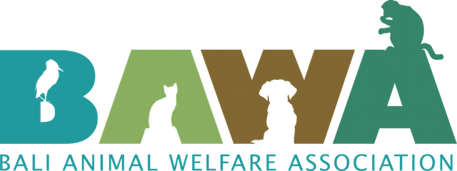 BAWA Bali Animal Welfare Association BAWA Bali Animal Welfare Association