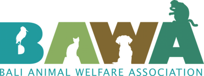 BAWA Bali Animal Welfare Association BAWA Bali Animal Welfare Association